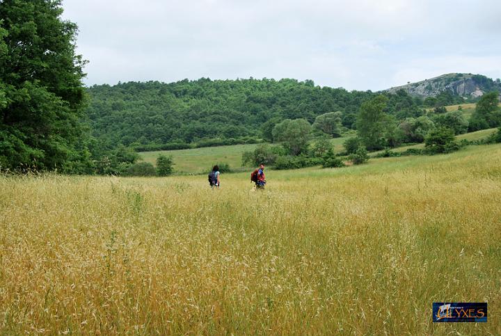 attraverso i campi.JPG